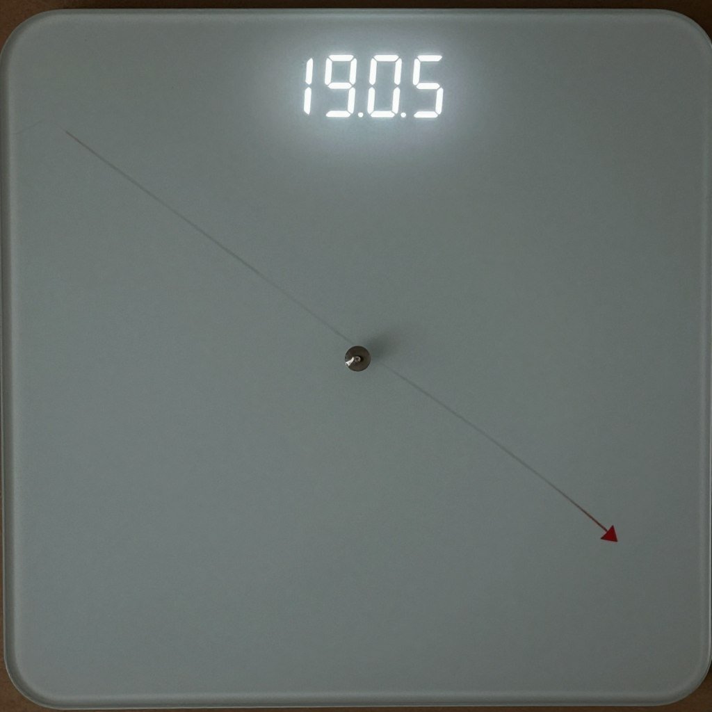 Scale showing weight loss results from a Custom Keto Diet